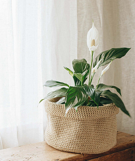 Crocheted Baskets: Double Stranded Version Using Hemp for Knitting allhemp6