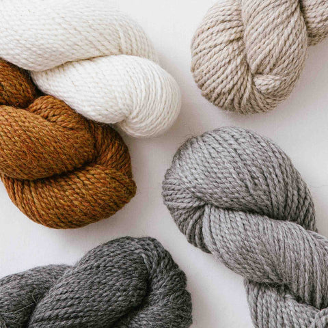 Classroom: The Learn-To-Crochet Companion – Churchmouse Yarns & Teas