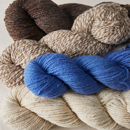 Blue Sky Fibers Woolstok Bundles – Churchmouse Yarns & Teas
