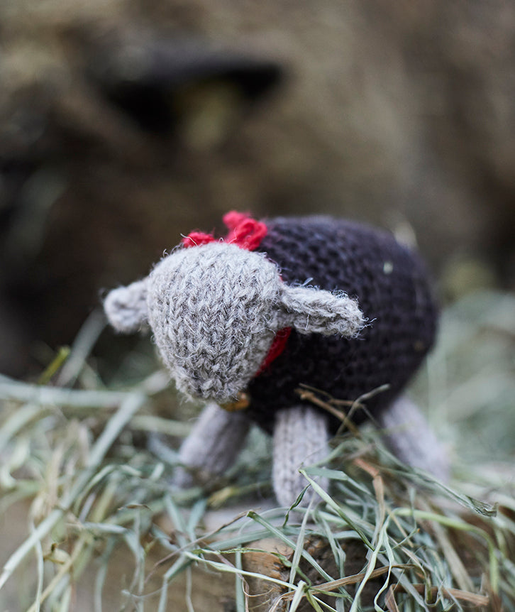 Woolly Wee Sheep: Larger Version Using Jamieson's Shetland Double Knitting